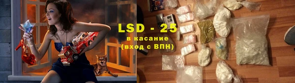 шишки Богородицк