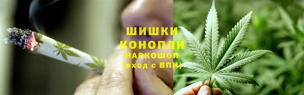 шишки Богородицк