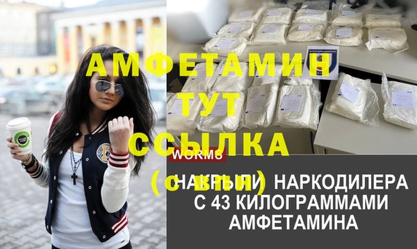 шишки Богородицк