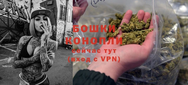 шишки Богородицк