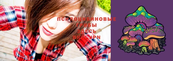 шишки Богородицк